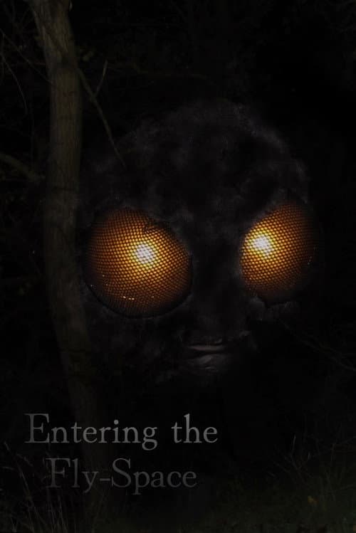 Entering the Fly-Space (2026-06-17) poster