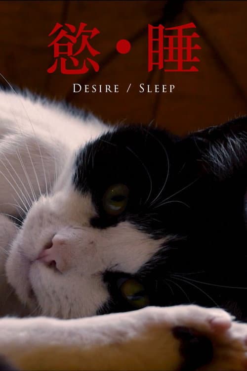 Desire/Sleep (2026-05-16) poster