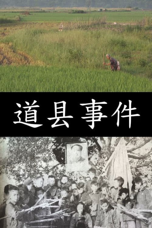 The Daoxian Incident (2026-04-14) poster