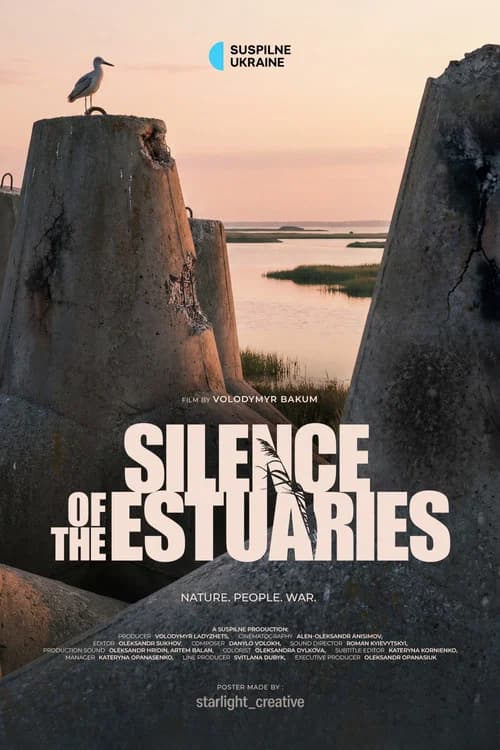 The Silence of the Estuaries (2026-08-31) poster