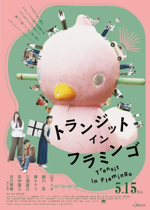 Transit in Flamingo (2026-05-15) poster
