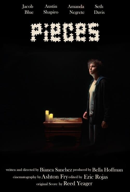 Pieces (2026-05-15) poster