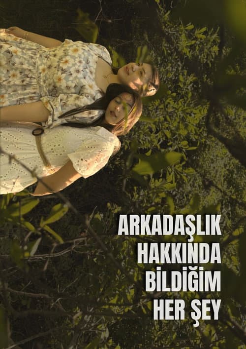 Arkadaşlık Hakkında Bildiğim Her Şey (2026-06-23) poster