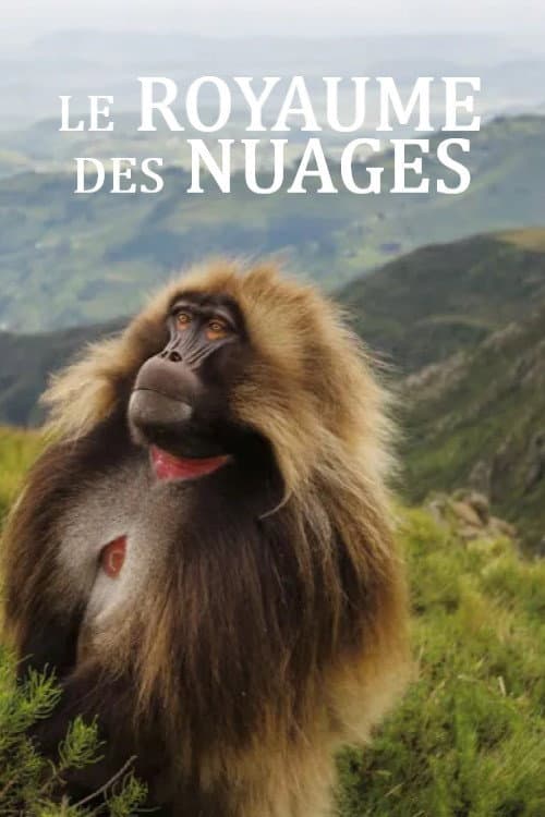 Le royaume des nuages (2026-04-13) poster