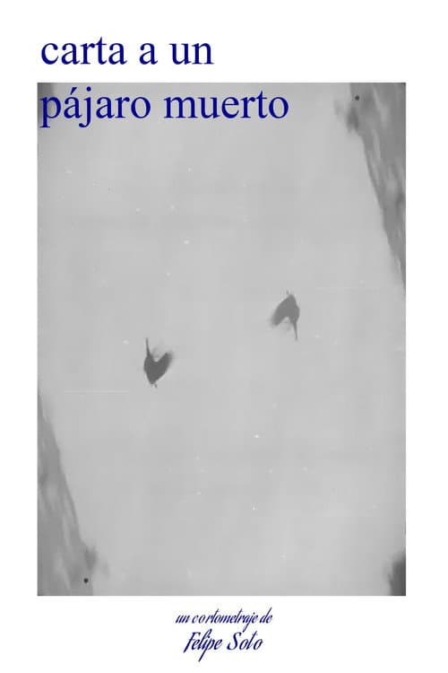 letter to a dead bird (2026-05-15) poster